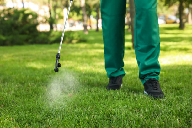 Best Exterminator Services  in Homestead Valley, CA