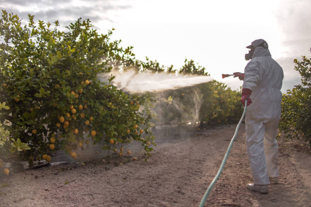 Best Wildlife Control Services  in Homestead Valley, CA