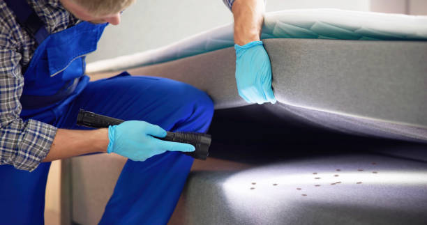  Homestead Valley, CA Pest Control Pros